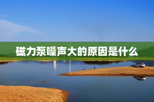 磁力泵噪声大的原因是什么