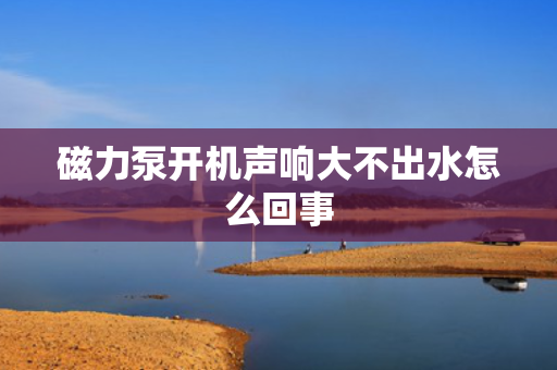 磁力泵开机声响大不出水怎么回事