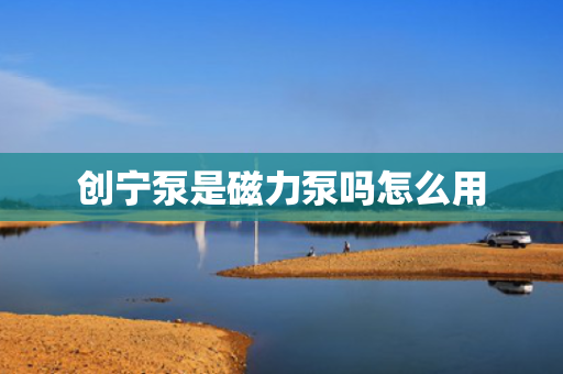 创宁泵是磁力泵吗怎么用