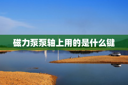 磁力泵泵轴上用的是什么键