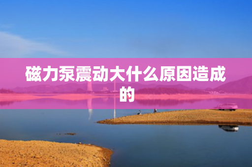 磁力泵震动大什么原因造成的