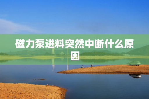 磁力泵进料突然中断什么原因