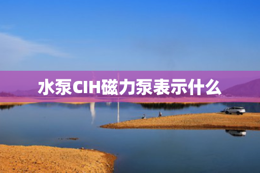 水泵CIH磁力泵表示什么
