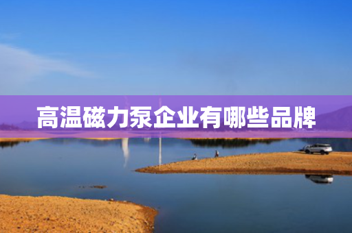 高温磁力泵企业有哪些品牌