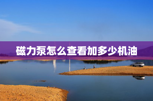 磁力泵怎么查看加多少机油