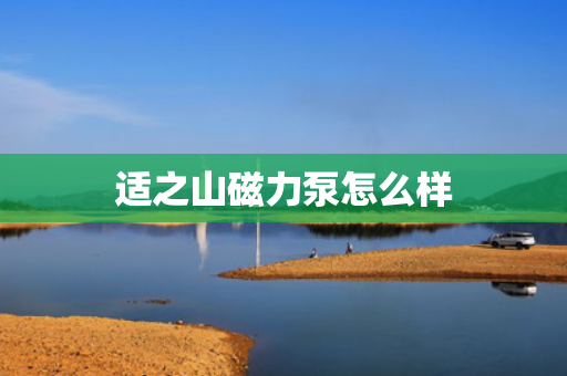 适之山磁力泵怎么样