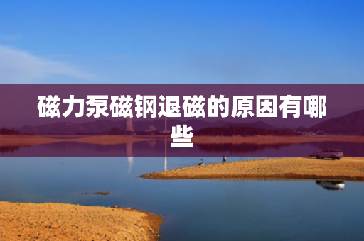 磁力泵磁钢退磁的原因有哪些