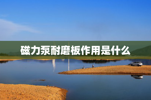 磁力泵耐磨板作用是什么