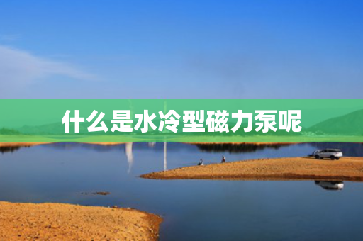 什么是水冷型磁力泵呢