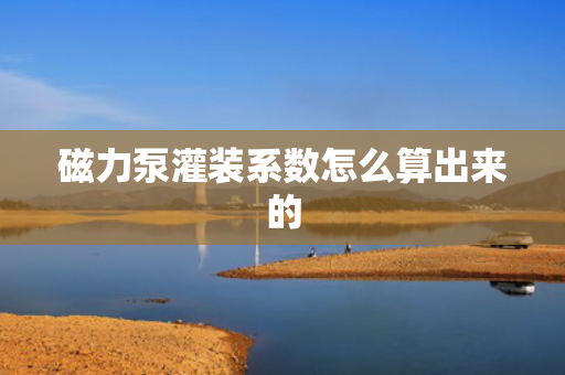 磁力泵灌装系数怎么算出来的