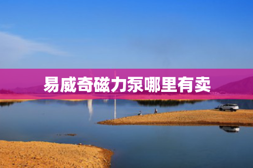 易威奇磁力泵哪里有卖