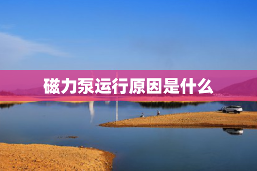 磁力泵运行原因是什么