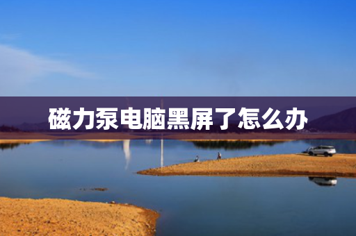 磁力泵电脑黑屏了怎么办