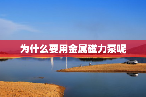为什么要用金属磁力泵呢