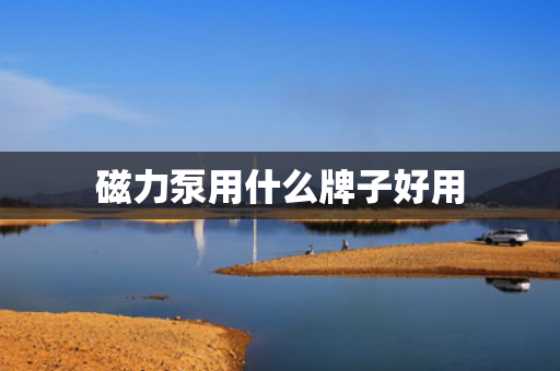 磁力泵用什么牌子好用