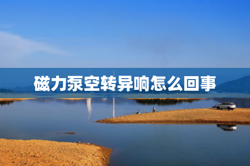 磁力泵空转异响怎么回事