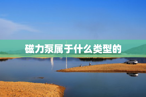 磁力泵属于什么类型的