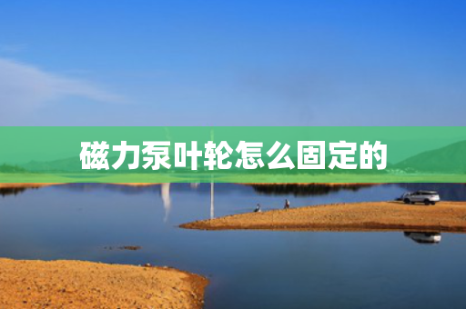 磁力泵叶轮怎么固定的