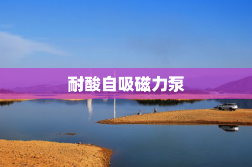 耐酸自吸磁力泵