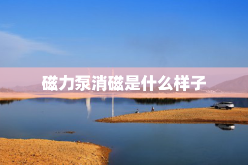 磁力泵消磁是什么样子