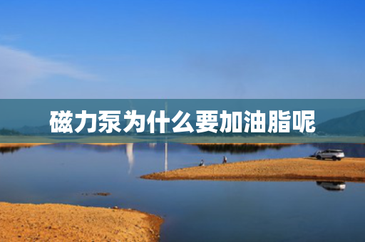 磁力泵为什么要加油脂呢