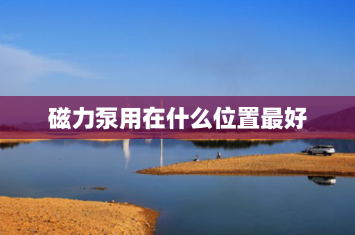 磁力泵用在什么位置最好