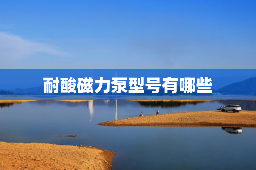 耐酸磁力泵型号有哪些