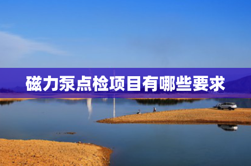 磁力泵点检项目有哪些要求