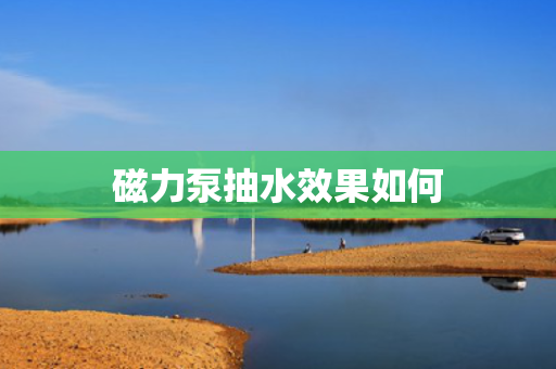 磁力泵抽水效果如何