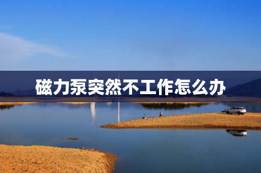 磁力泵突然不工作怎么办