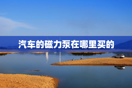汽车的磁力泵在哪里买的