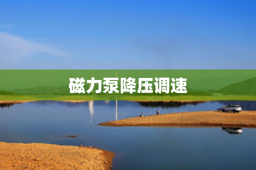 磁力泵降压调速