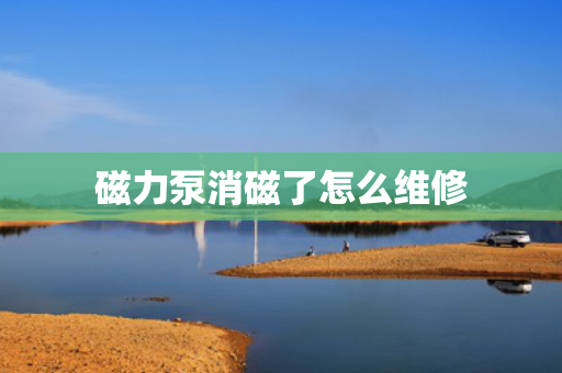 磁力泵消磁了怎么维修