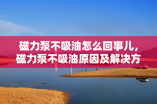 磁力泵不吸油怎么回事儿，磁力泵不吸油原因及解决方案