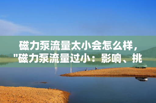 磁力泵流量太小会怎么样，