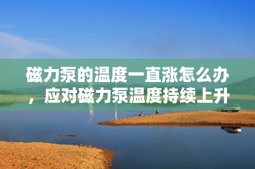 磁力泵的温度一直涨怎么办，应对磁力泵温度持续上升的有效措施