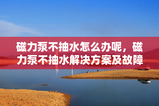 磁力泵不抽水怎么办呢，磁力泵不抽水解决方案及故障排除方法