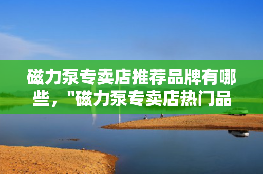 磁力泵专卖店推荐品牌有哪些，