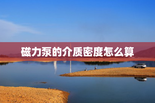 磁力泵的介质密度怎么算