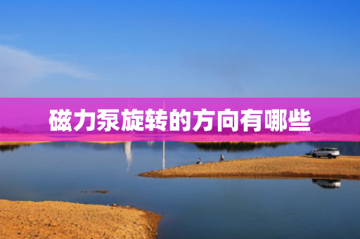 磁力泵旋转的方向有哪些