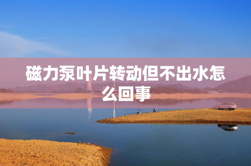 磁力泵叶片转动但不出水怎么回事