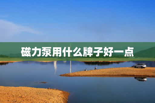 磁力泵用什么牌子好一点