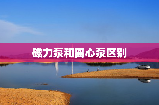 磁力泵和离心泵区别
