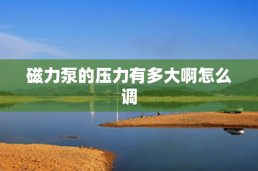 磁力泵的压力有多大啊怎么调