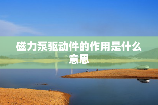 磁力泵驱动件的作用是什么意思