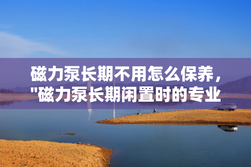 磁力泵长期不用怎么保养，
