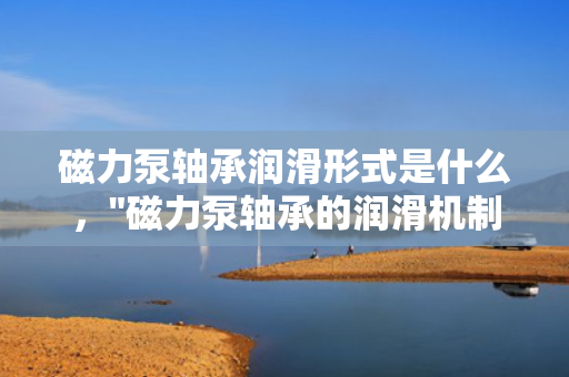 磁力泵轴承润滑形式是什么，