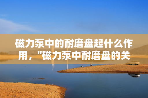 磁力泵中的耐磨盘起什么作用，