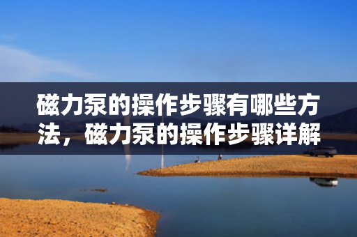 磁力泵的操作步骤有哪些方法，磁力泵的操作步骤详解：安全高效运行的关键指南