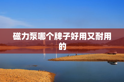 磁力泵哪个牌子好用又耐用的